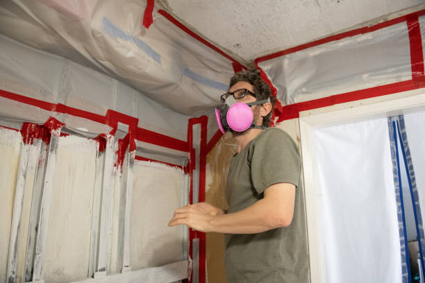 Best Forensic Mold Investigation  in Wheat Ridge, CO
