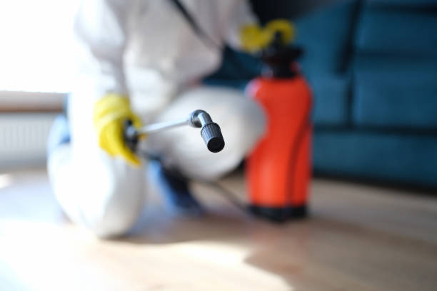 Best Commercial Mold Inspection  in Wheat Ridge, CO